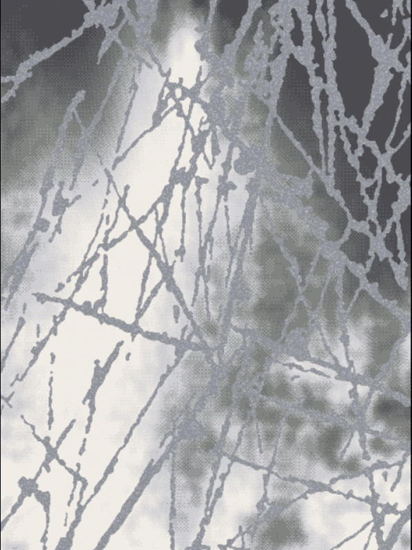 PRIZMA 3547 GREY